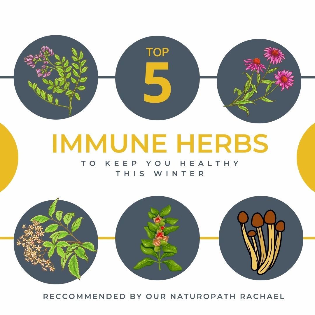 discover natural wellness solutions and effective immune support to enhance your health and vitality.