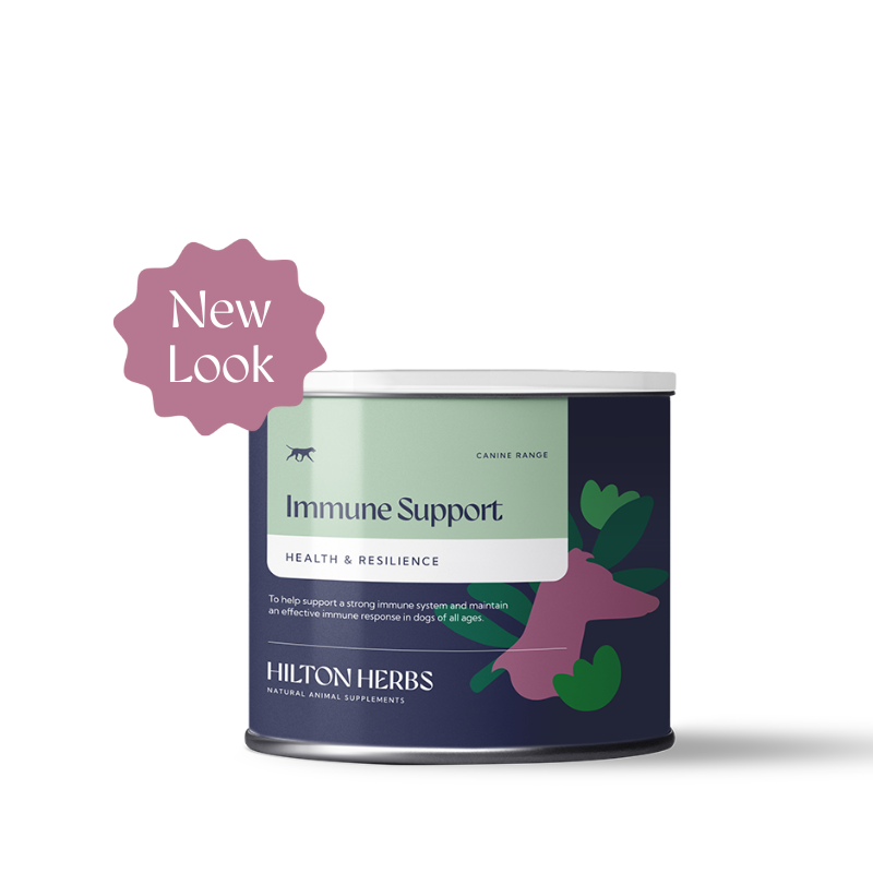 discover top supplements for immune support to boost your body's natural defenses and stay healthy all year round.
